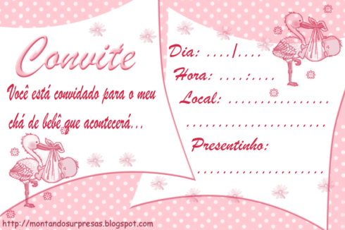 imagem 12 490x326