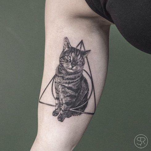 tatuagem de gato na perna 2 490x490