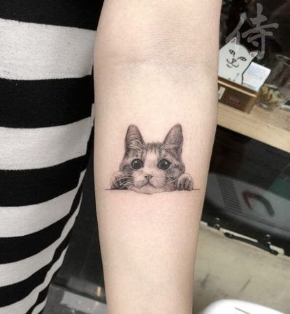 tatuagem de gato no braco 1