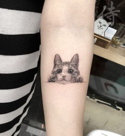 TATUAGENS DE gato Femininas conheça mais