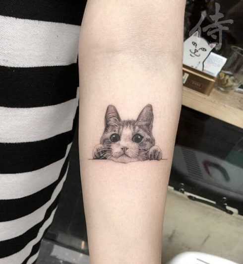tatuagem de gato no braco 1 490x532