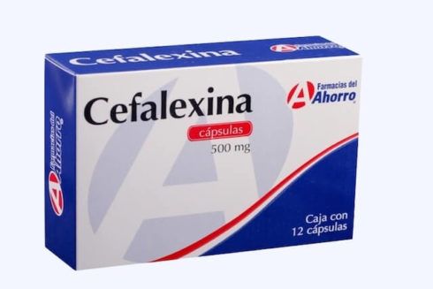 remédio cefalexina para infecção urinária 490x327
