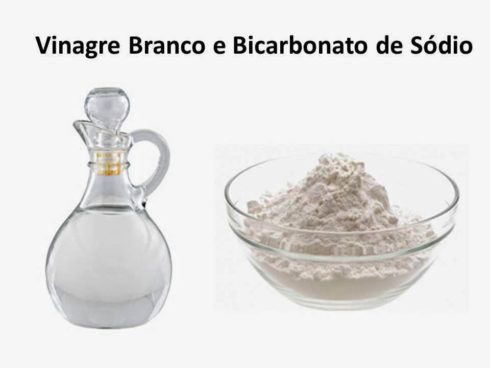 Bicarbonato e Vinagre Branco 490x368