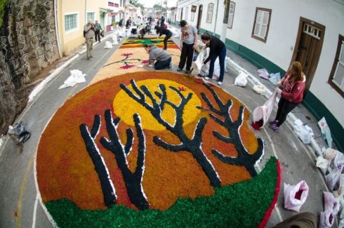 tapetes de corpus christi 10 490x325