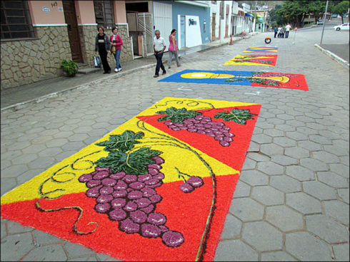 tapetes de corpus christi 6 490x368