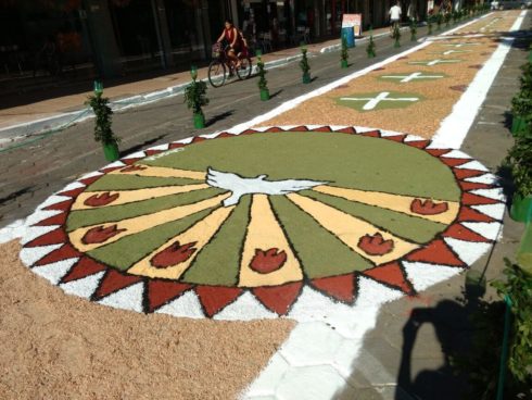 tapetes de corpus christi 9 490x368