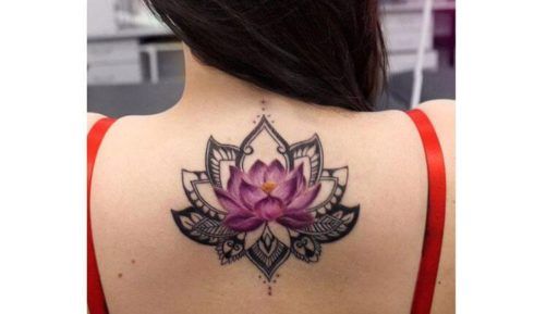 tatuagem flor de lotus nas costas 3 490x289