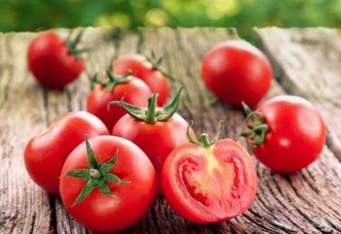 tomate 490x336